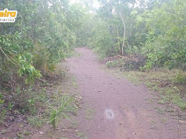 #3182 - Chácara para Venda em Carolina - MA - 1