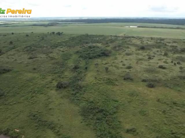 #3183 - Fazenda para Venda em Santa Maria das Barreiras - PA - 3