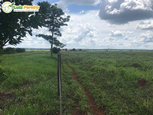#3184 - Fazenda para Venda em Ourilândia do Norte - PA - 3
