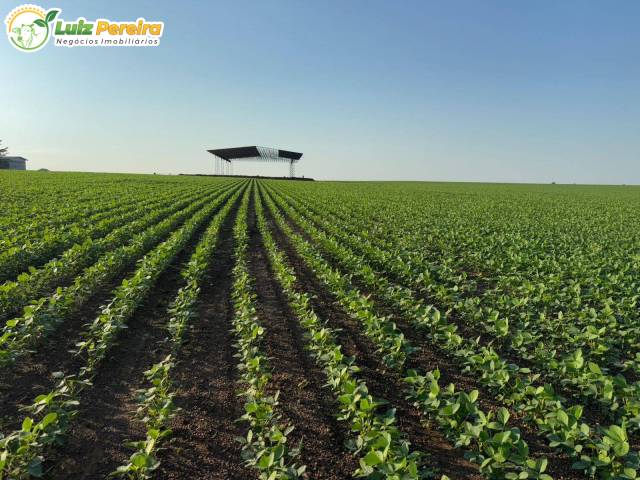 #3185 - Fazenda para Venda em Xinguara - PA - 3