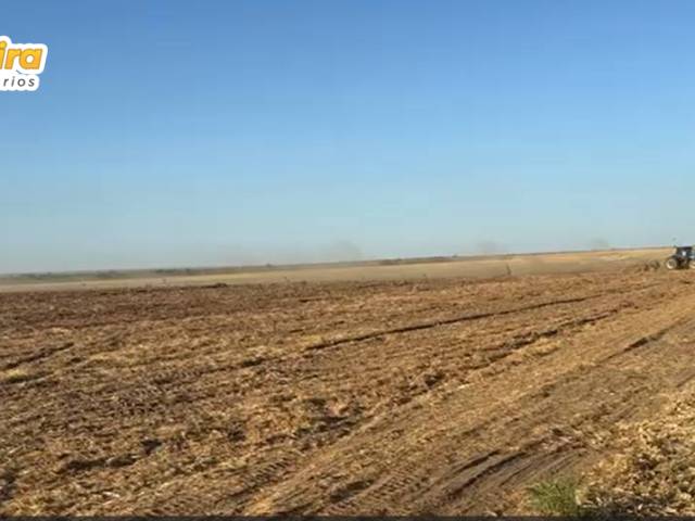 Fazenda para Venda em Alto Parnaíba - 5