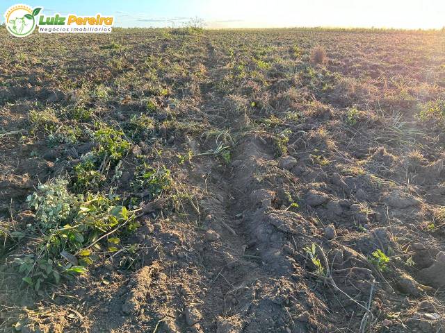 #3186 - Fazenda para Venda em Portel - PA - 2