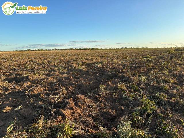 #3186 - Fazenda para Venda em Portel - PA - 3