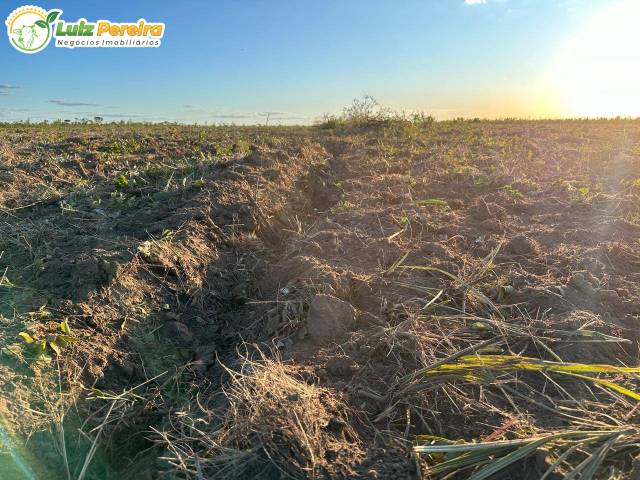 Fazenda para Venda em Alto Parnaíba - 4