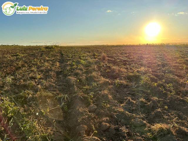 #3186 - Fazenda para Venda em Portel - PA - 1