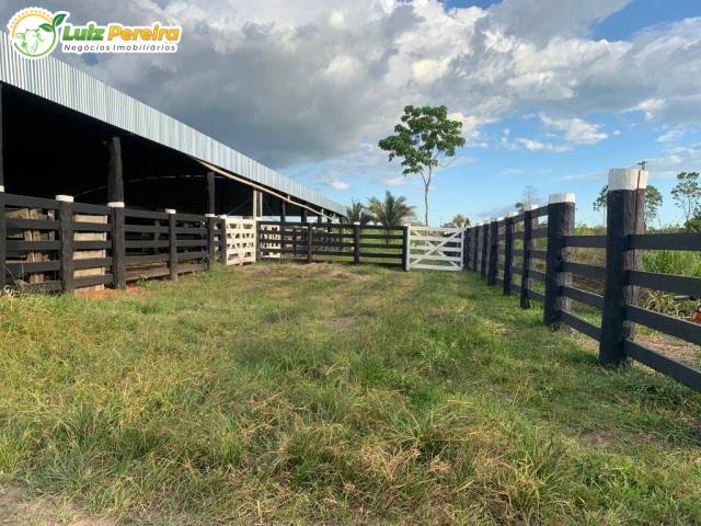 Fazenda para Venda em Pacajá - 4