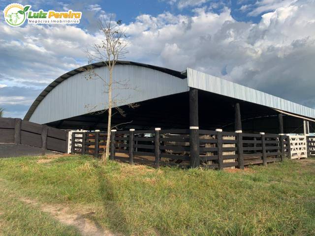 Fazenda para Venda em Pacajá - 5