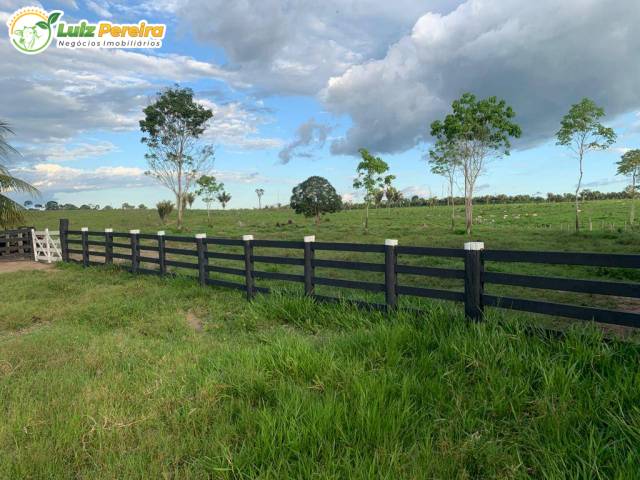 #3187 - Fazenda para Venda em Pacajá - PA - 1