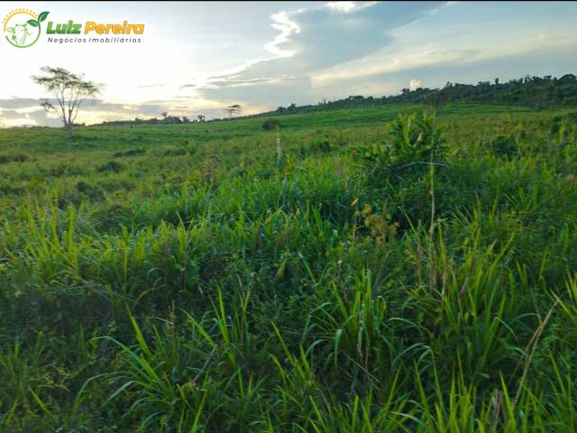 #3187 - Fazenda para Venda em Pacajá - PA - 3