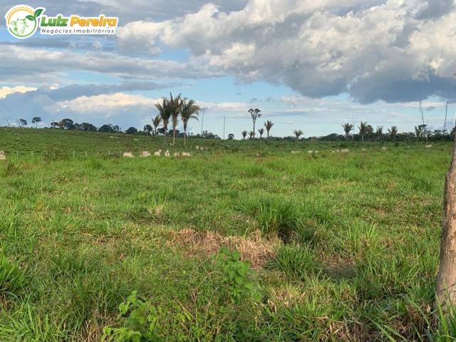 #3187 - Fazenda para Venda em Pacajá - PA - 2