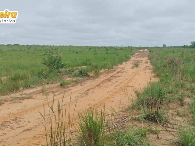 Fazenda para Venda em Barra do Ouro - 4