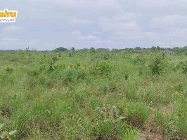 #3189 - Fazenda para Venda em Portel - PA - 1