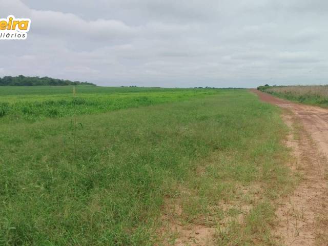 Fazenda para Venda em Barra do Ouro - 5