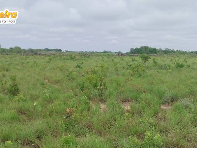 #3189 - Fazenda para Venda em Portel - PA - 2