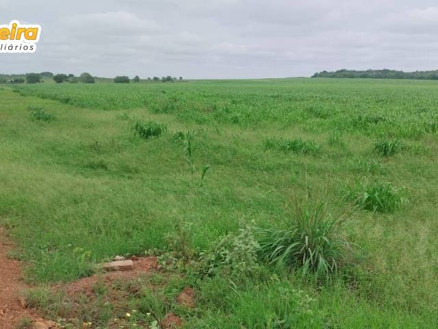 #3189 - Fazenda para Venda em Portel - PA - 3