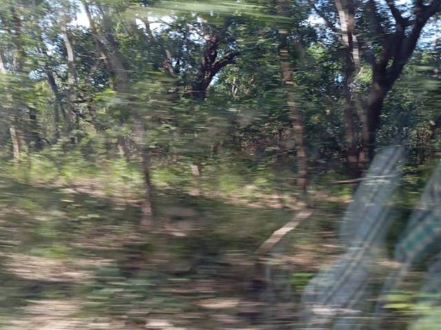 #3190 - Fazenda para Venda em Pastos Bons - MA - 3