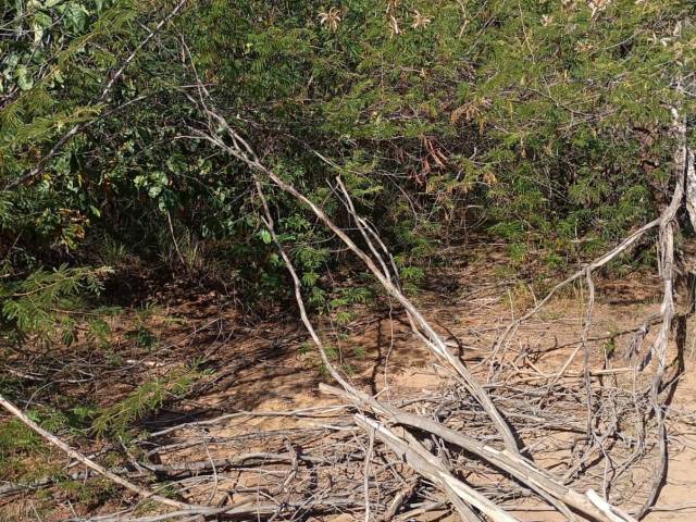 Fazenda para Venda em Pastos Bons - 4