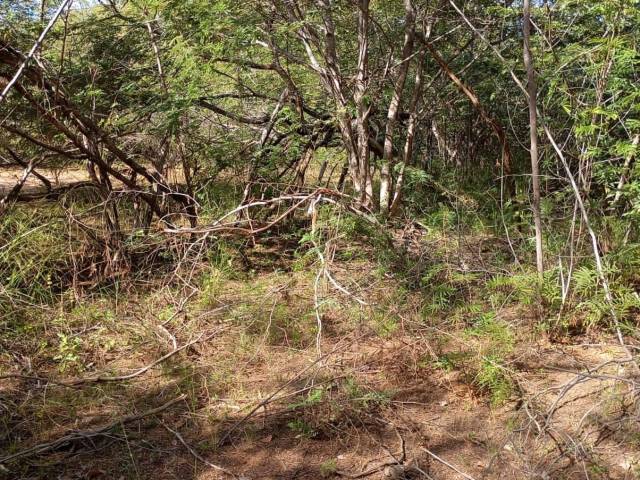 Fazenda para Venda em Pastos Bons - 5