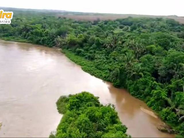 Fazenda para Venda em Pedro Gomes - 4