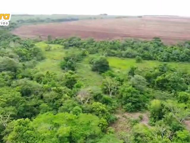 Venda em Zona Rural - Pedro Gomes