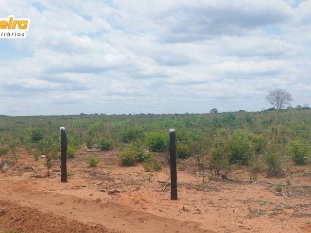 Fazenda para Venda em Araguaína - 5