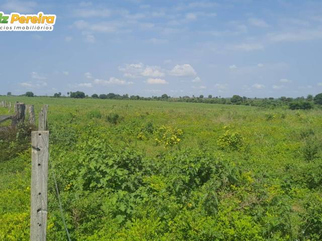 #3193 - Fazenda para Venda em Pequizeiro - TO - 3