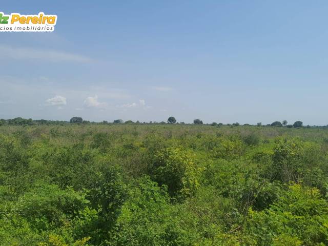 #3193 - Fazenda para Venda em Pequizeiro - TO - 2