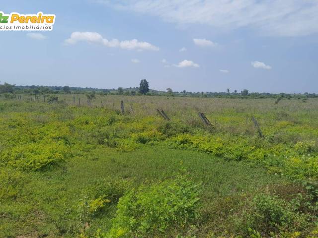 Fazenda para Venda em Pequizeiro - 4