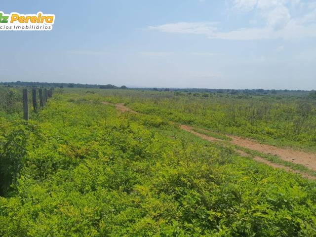 #3193 - Fazenda para Venda em Pequizeiro - TO - 1