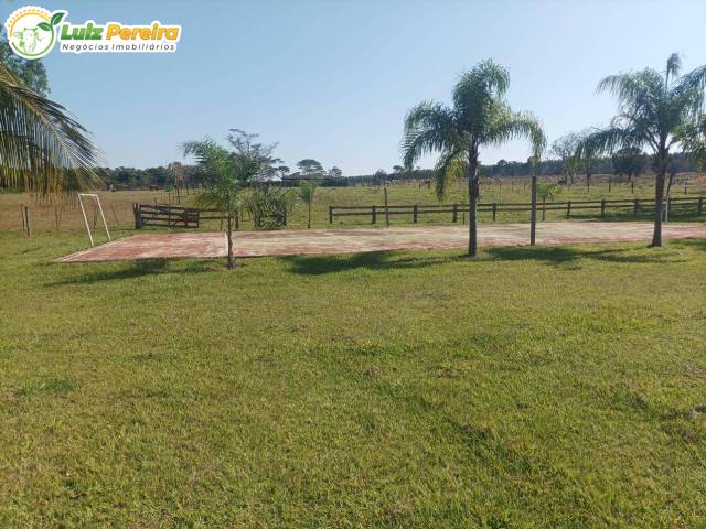 Fazenda para Venda em Paranaíba - 5