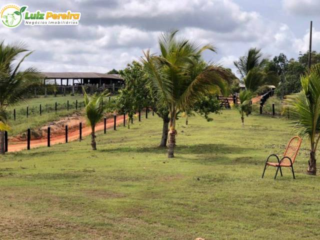 #3195 - Fazenda para Venda em Itupiranga - PA - 2