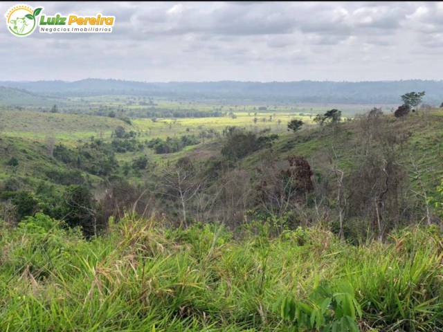 #3195 - Fazenda para Venda em Itupiranga - PA - 3