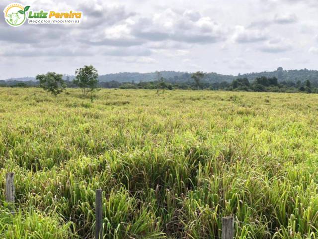 Fazenda para Venda em Itupiranga - 4