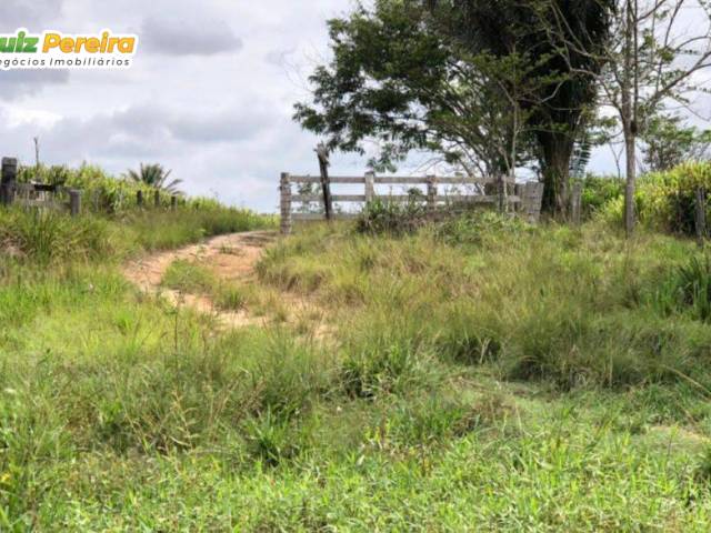 Fazenda para Venda em Itupiranga - 5
