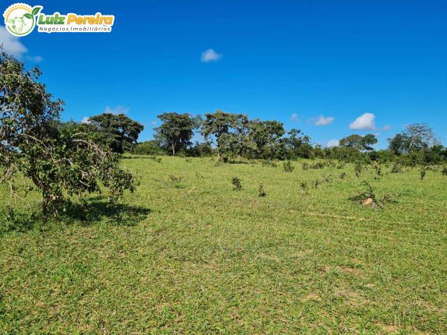 #3198 - Fazenda para Venda em Caiapônia - GO - 3