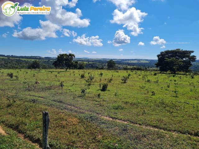 Fazenda para Venda em Caiapônia - 4