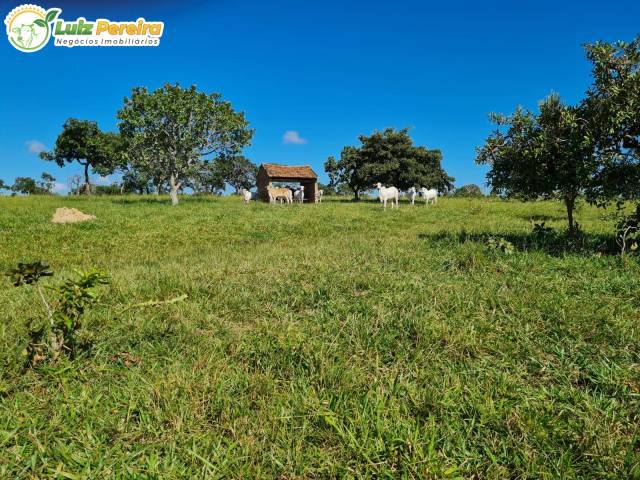 Fazenda para Venda em Caiapônia - 5