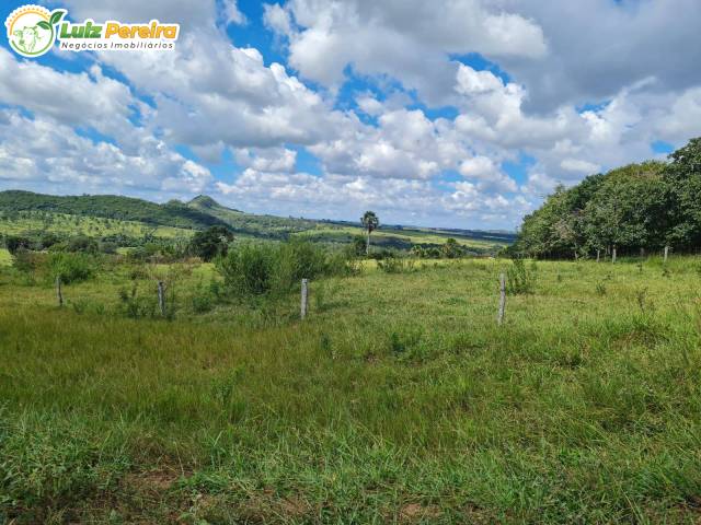 #3198 - Fazenda para Venda em Caiapônia - GO - 1