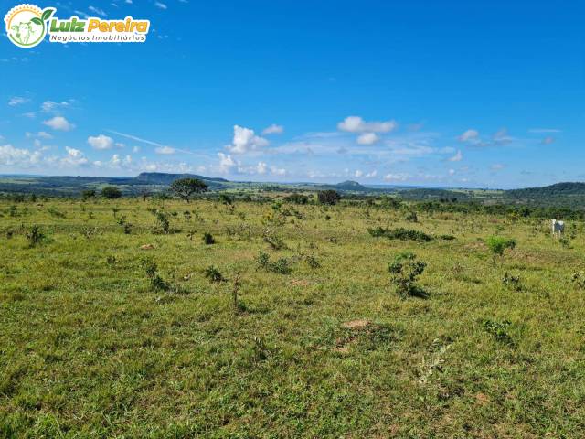 #3198 - Fazenda para Venda em Caiapônia - GO - 2