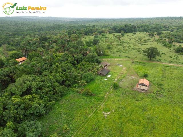 #3199 - Fazenda para Venda em Portel - PA - 2