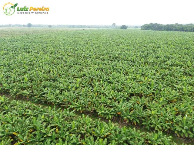 #3199 - Fazenda para Venda em Portel - PA - 3