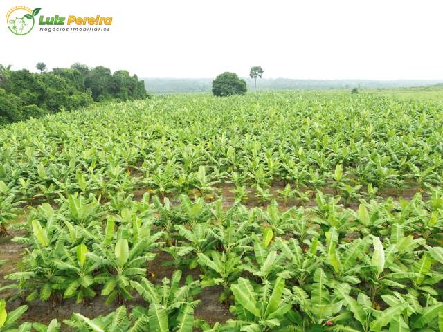 Fazenda para Venda em Araguaína - 5