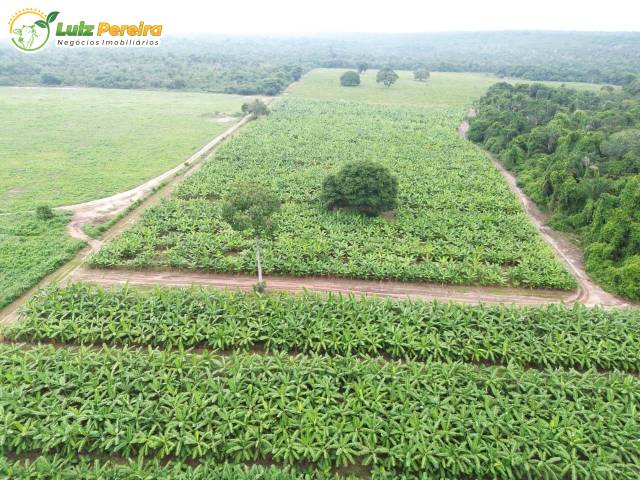 #3199 - Fazenda para Venda em Portel - PA - 1