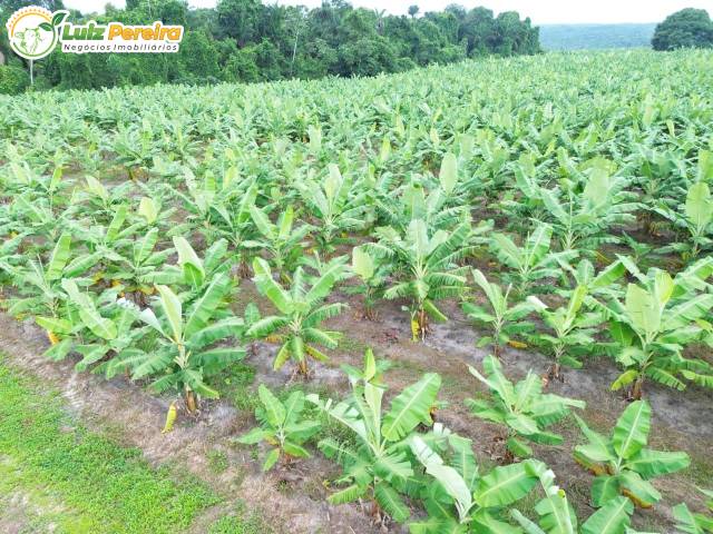 Fazenda para Venda em Araguaína - 4