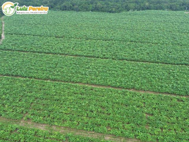 #3199 - Fazenda para Venda em Araguaína - TO