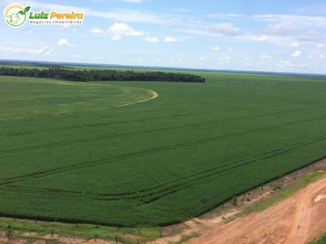 #3200 - Fazenda para Venda em Palmeirante - TO - 3