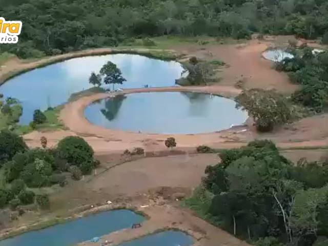 #3200 - Fazenda para Venda em Palmeirante - TO - 1