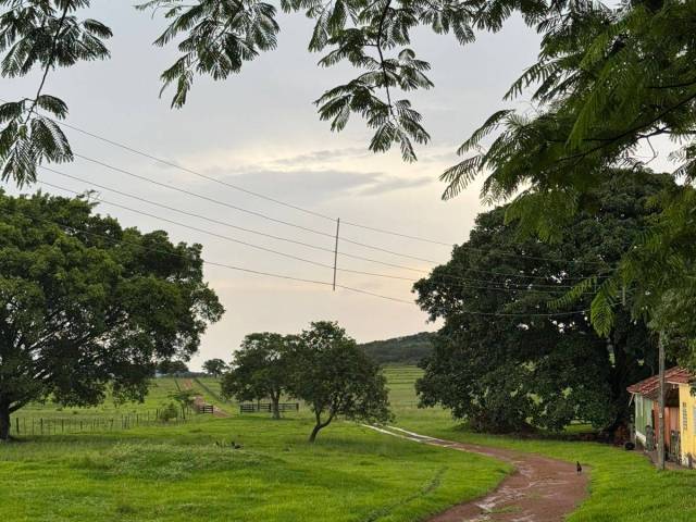 Fazenda para Venda em Cassilândia - 5