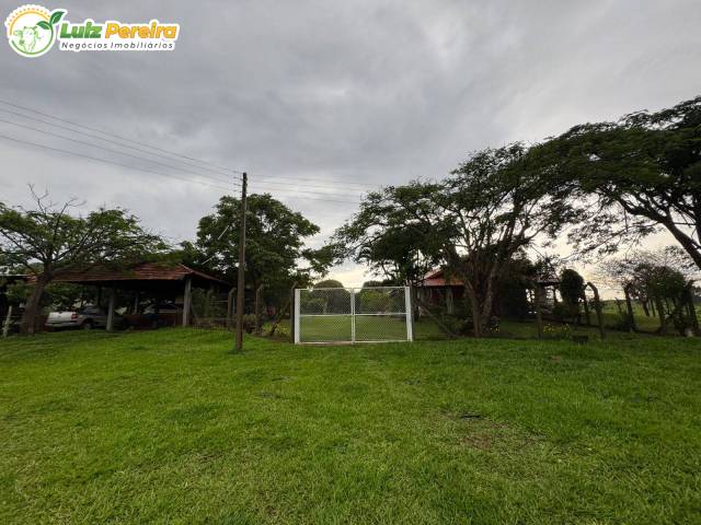 #3203 - Fazenda para Venda em Portel - PA - 3