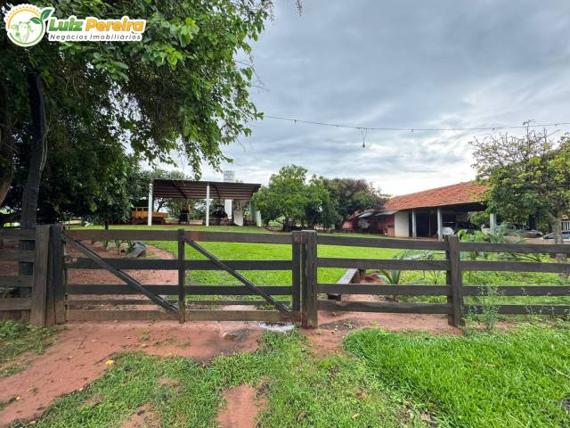 #3203 - Fazenda para Venda em Portel - PA - 1